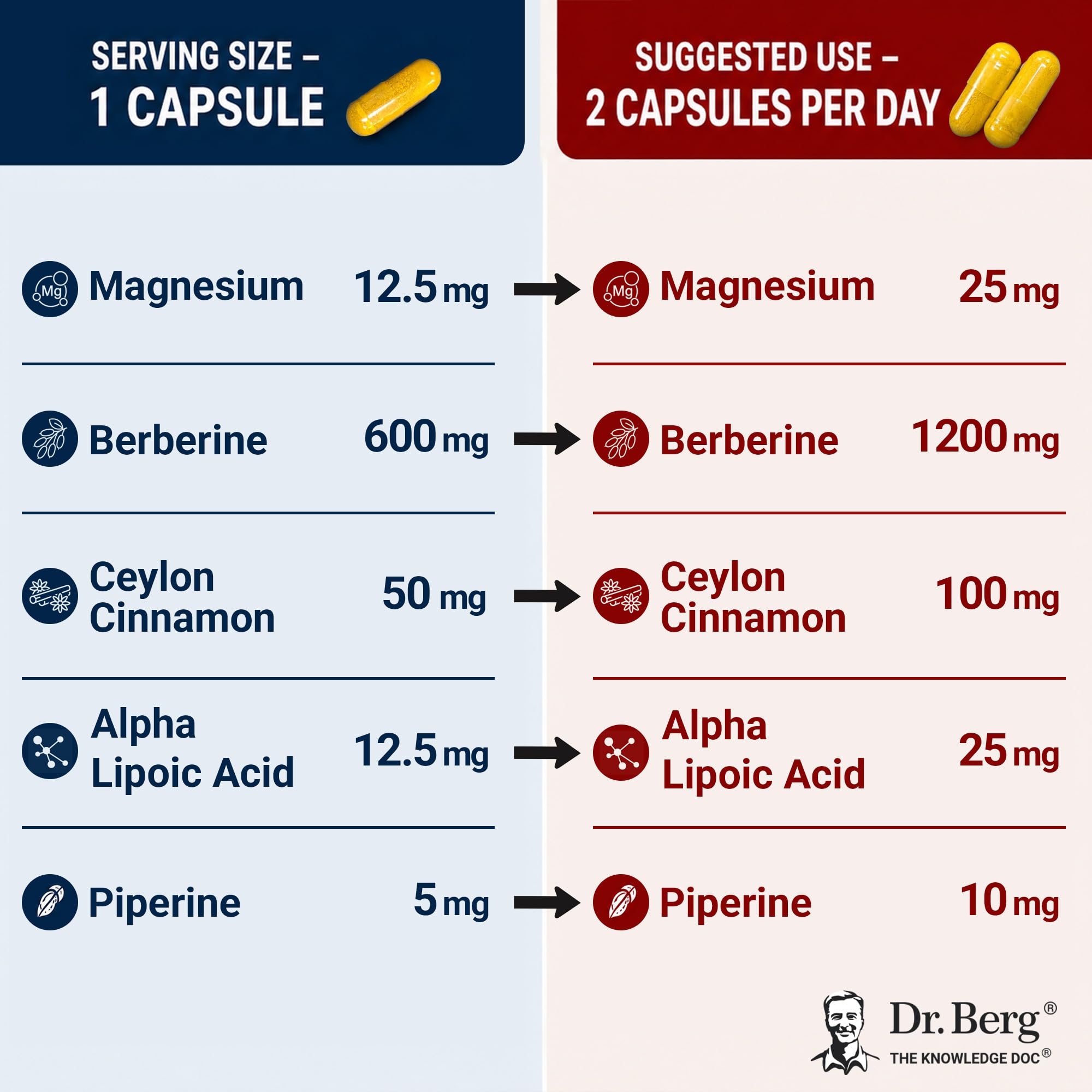 Dr. Berg Berberine 5-in-1 Formula, 60 Capsules – 1200 mg Daily Berberine with Ceylon Cinnamon, ALA, Magnesium Glycinate & BioPerine – Maximum Strength Metabolic & Healthy Blood Sugar Support
