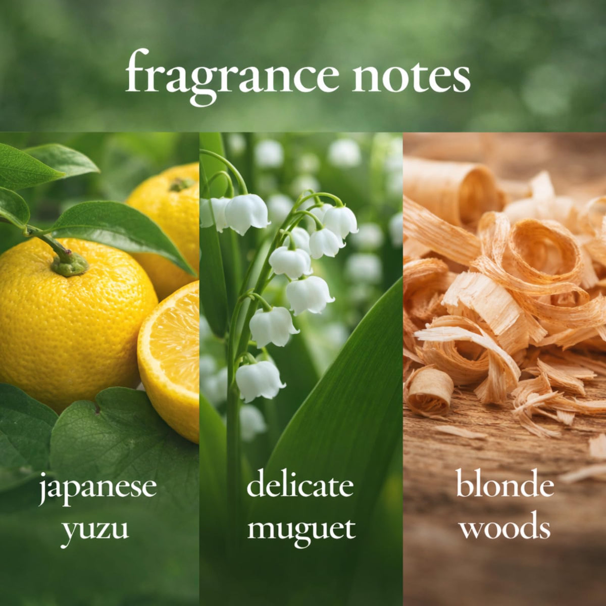 Haiku Eau de Parfum Spray for Women – Long-Lasting Fresh Green Floral Fragrance with Japanese Yuzu, Muguet, Jasmine & Sandalwood – Nature-Inspired Signature Perfume Gift – 1.7 fl oz / 50 ml