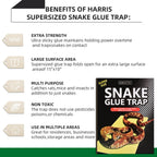 4 Pack 10" x 16" Large Snake Glue Traps with Enhanced Stickiness, Snake Rat Sticky Pad Board for House Indoor Outdoor, Sticky Glue Traps for Snakes, Mice, Rats, Easy to Set