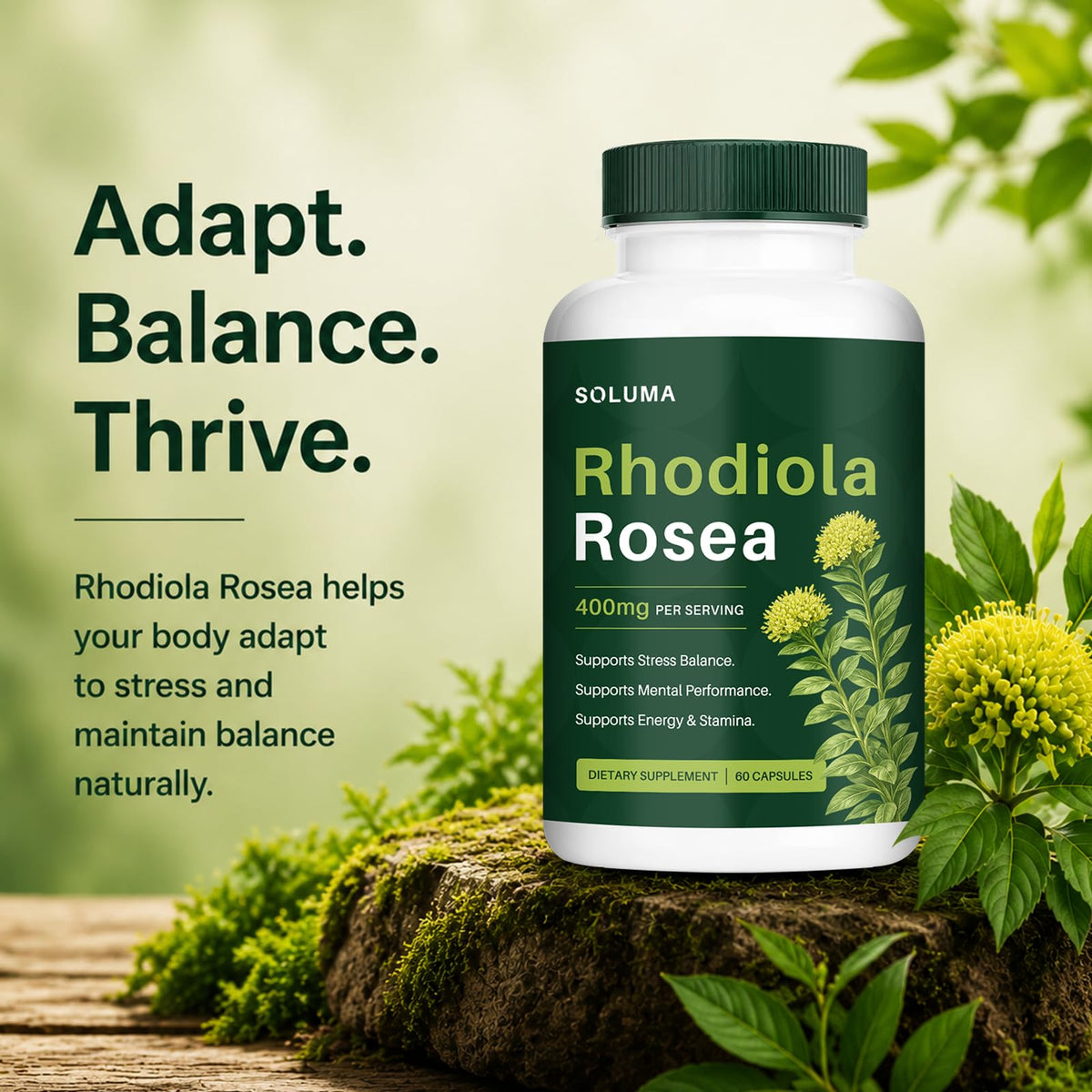 soluma Rhodiola Rosea 400mg Capsules, Adaptogen Supplement for Stress, Focus & Energy Support, Non-GMO, 60 Capsules