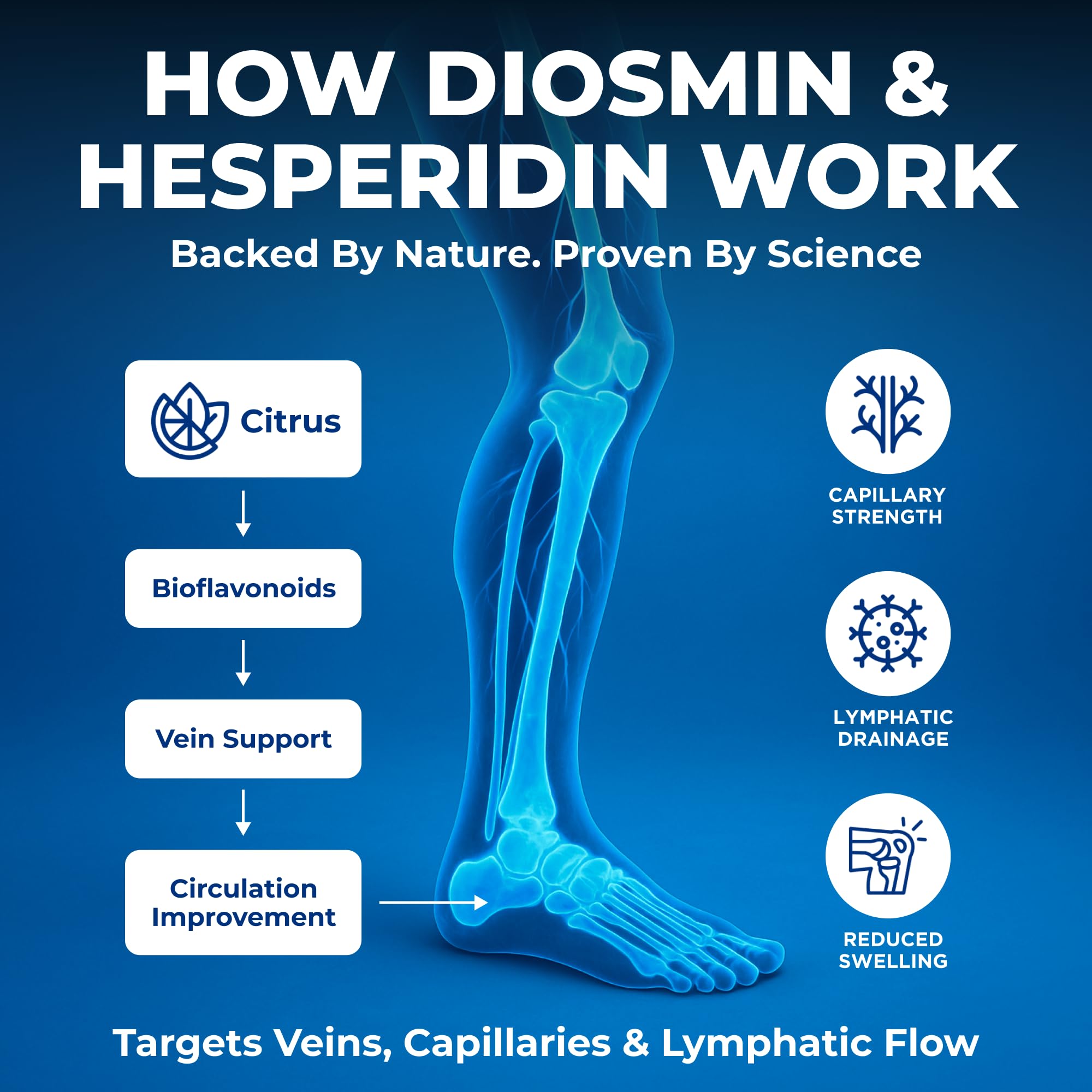 Diosmin Hesperidin 1000mg for Leg Circulation & Vein Support*, 180 Capsules | Diosmin & Hesperidin - 90 Day Supply Of Easy-To-Swallow Capsules For Vein Health, Capillaries & Lymphatic Flow