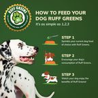 Dog Food Topper for Dogs – VitaSmart Powder with 25 Vitamins & Minerals, 15 Probiotics & 20 Digestive Enzymes – Gut, Immune, Skin & Mobility Support – All Breeds & Ages – Ruff Greens 6.9oz