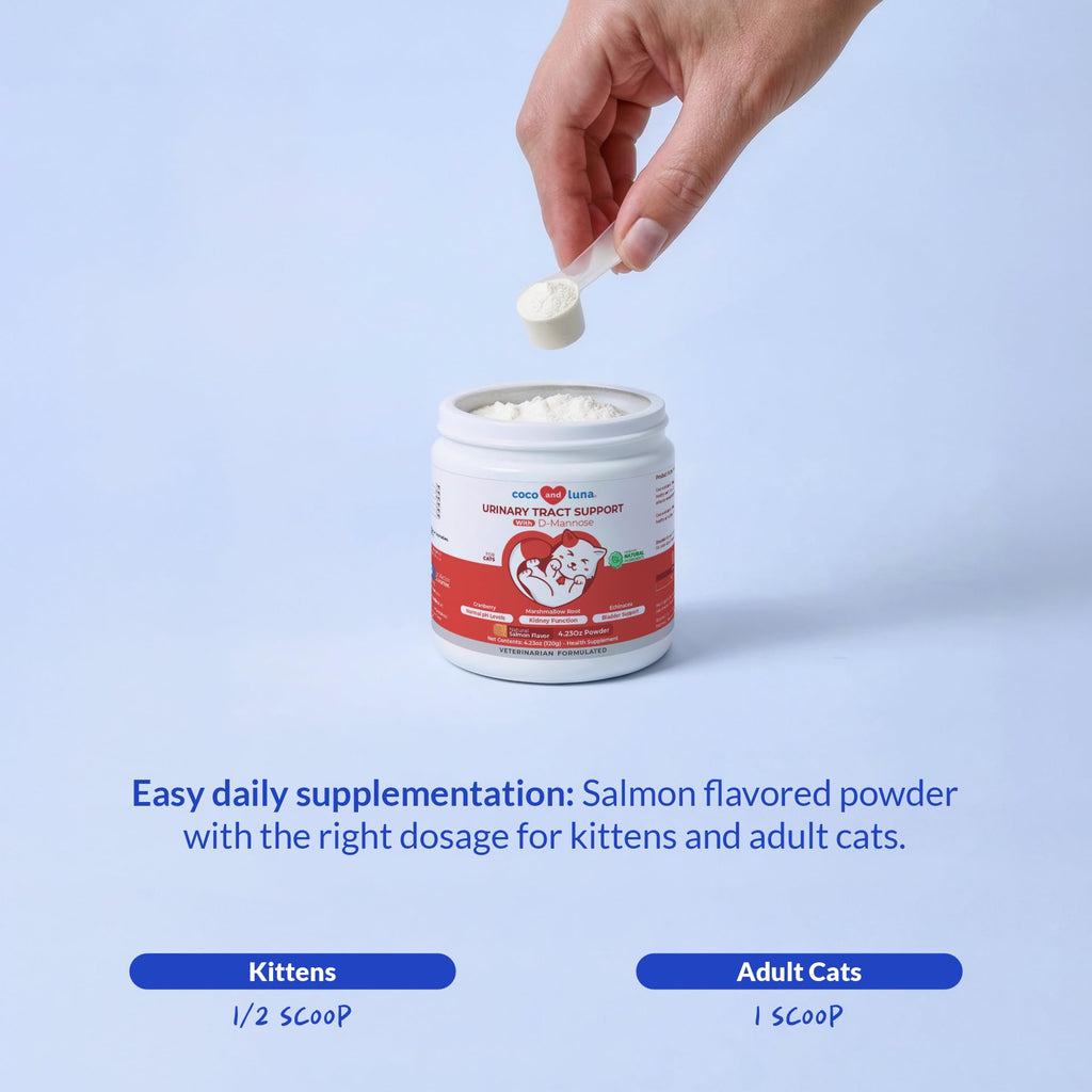 Cranberry Supplement for Cat UTI Treatment & Bladder Support with D-Mannose