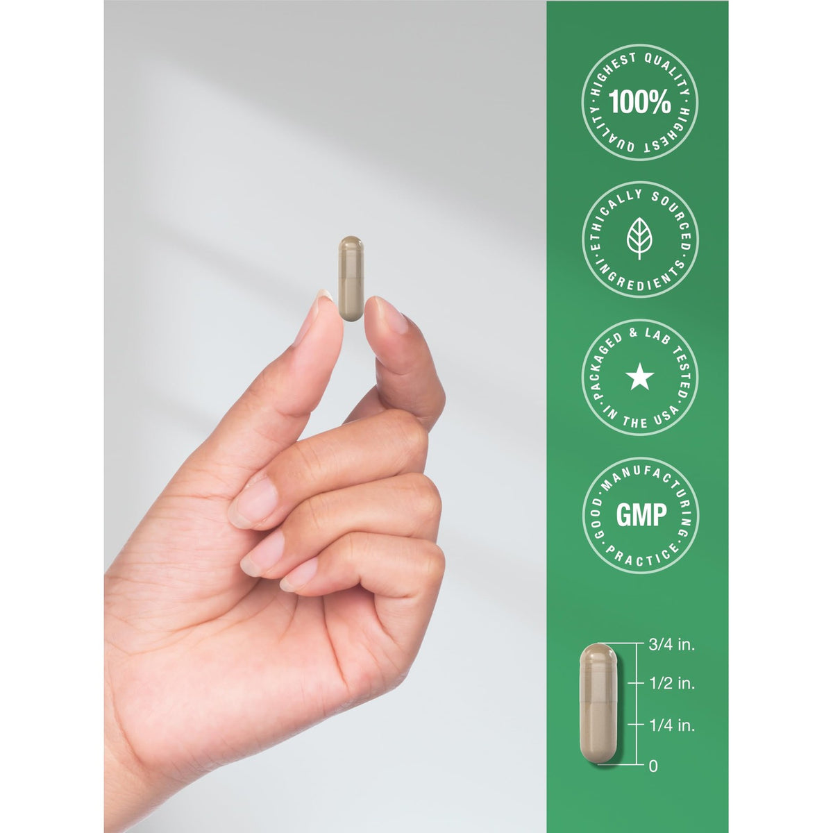 Horbäach Milk Thistle Supplement | 300 Capsules | Herbal Extract