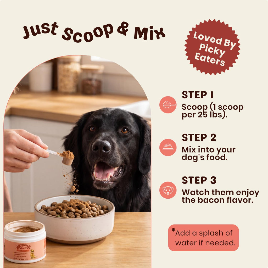 Turkey Tail Mushroom for Dogs – Turkey Tail Mushroom Powder with Probiotics for Immune and Digestive Support, Supports Lumps and Bumps, Bacon Flavored Daily Dog Supplement