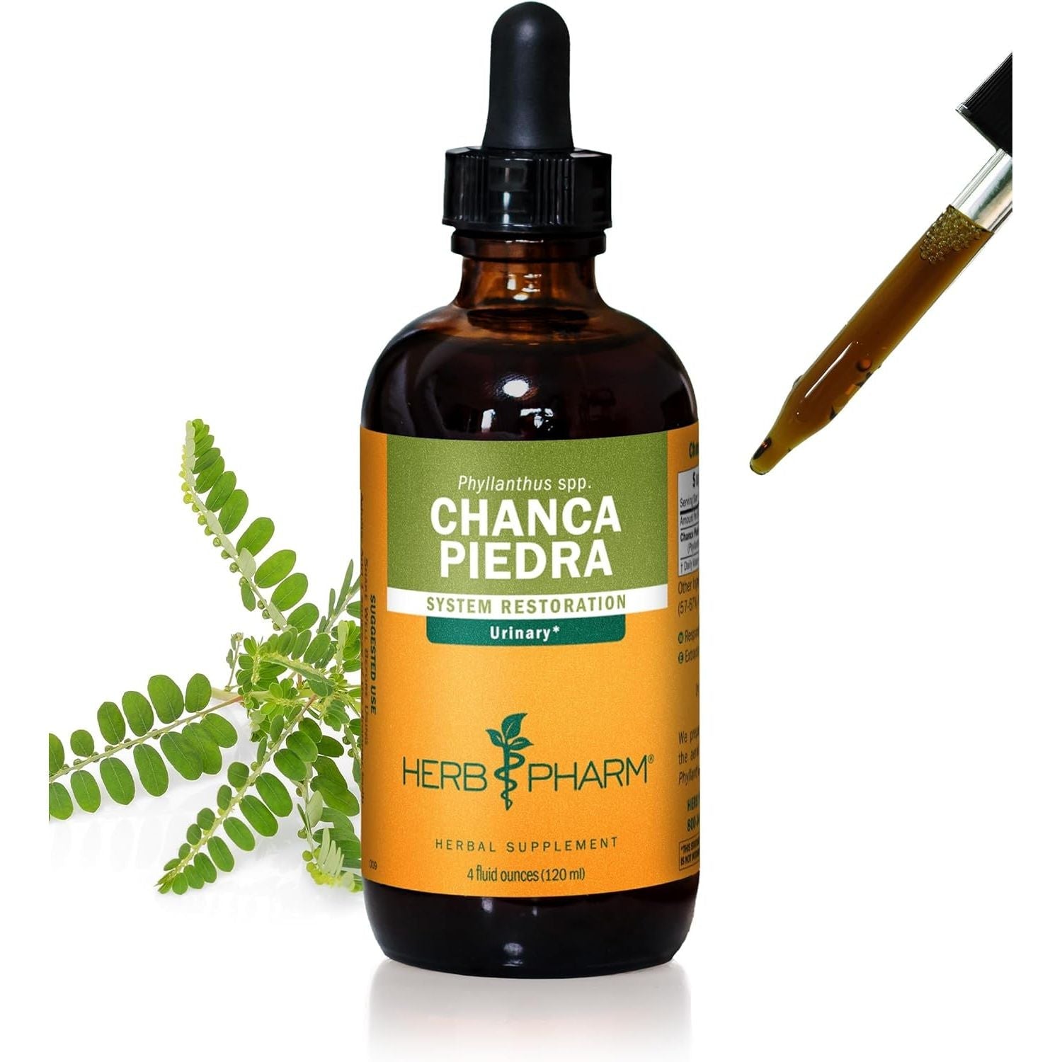 Buy now Herb Pharm Chanca Piedra Liquid Extract for Urinary System Support, 1 Fl Oz 4 Fl Oz (Pack of 1) at indiglob india