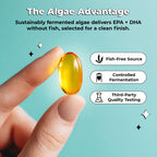 Future Kind Vegan Omega-3 Supplement for Memory & Mobility, 60ct
