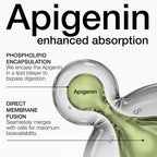 Toniiq Liposomal Apigenin 100mg