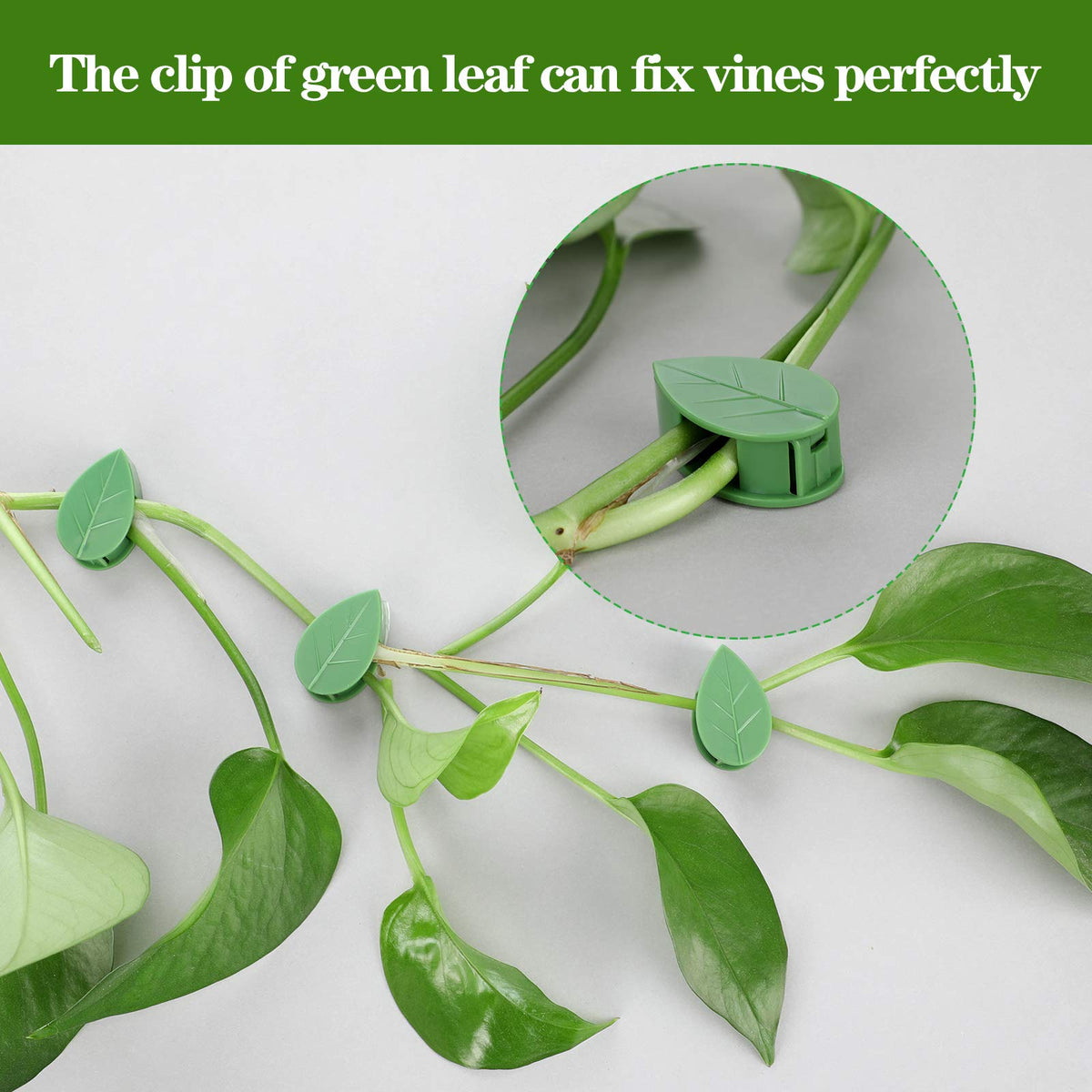 Geiserailie 60 Plant Climbing Clips Wall Fixture with 72 Stickers for Vine