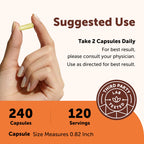 Micro Ingredients Quercetin with Vitamin C & Zinc, 240 Capsules | 6‑in‑1 Formula with Quercetin, Vitamin C & 4 Zinc Forms (Picolinate, Citrate, Glycinate, Gluconate) | Non‑GMO