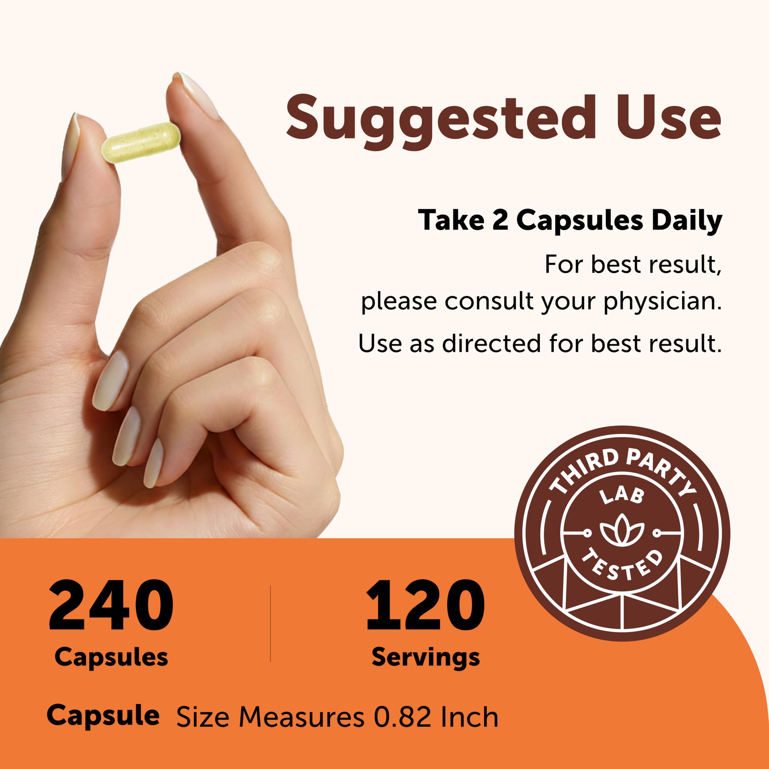 Micro Ingredients Quercetin with Vitamin C & Zinc, 240 Capsules | 6‑in‑1 Formula with Quercetin, Vitamin C & 4 Zinc Forms (Picolinate, Citrate, Glycinate, Gluconate) | Non‑GMO