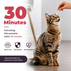 Broad-Spectrum Dewormer for Cats & Dogs | Praziquantel + Pyrantel Pamoate | Controls Tapeworms, Roundworms & Hookworms | 12 Flavored Tablets