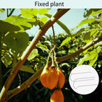 Floral Pins,1.7 Inch U-Shape Plant Pin, 80Pcs U-Pins for Indoor Plants Straw Wreaths, Greening Fern Craft Sewing Pin for Floral Picks Foam, DIY Sewing Project, Holiday Flower Arrangements