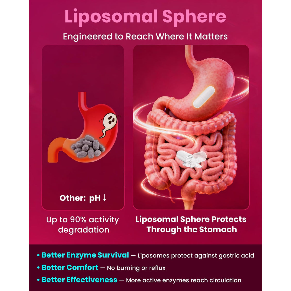 Max Strength Nattokinase 12,000 FU & Serrapeptase & Lumbrokinase