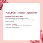 PURE SYNERGY SuperPure Astaxanthin Extract (60 Capsules)