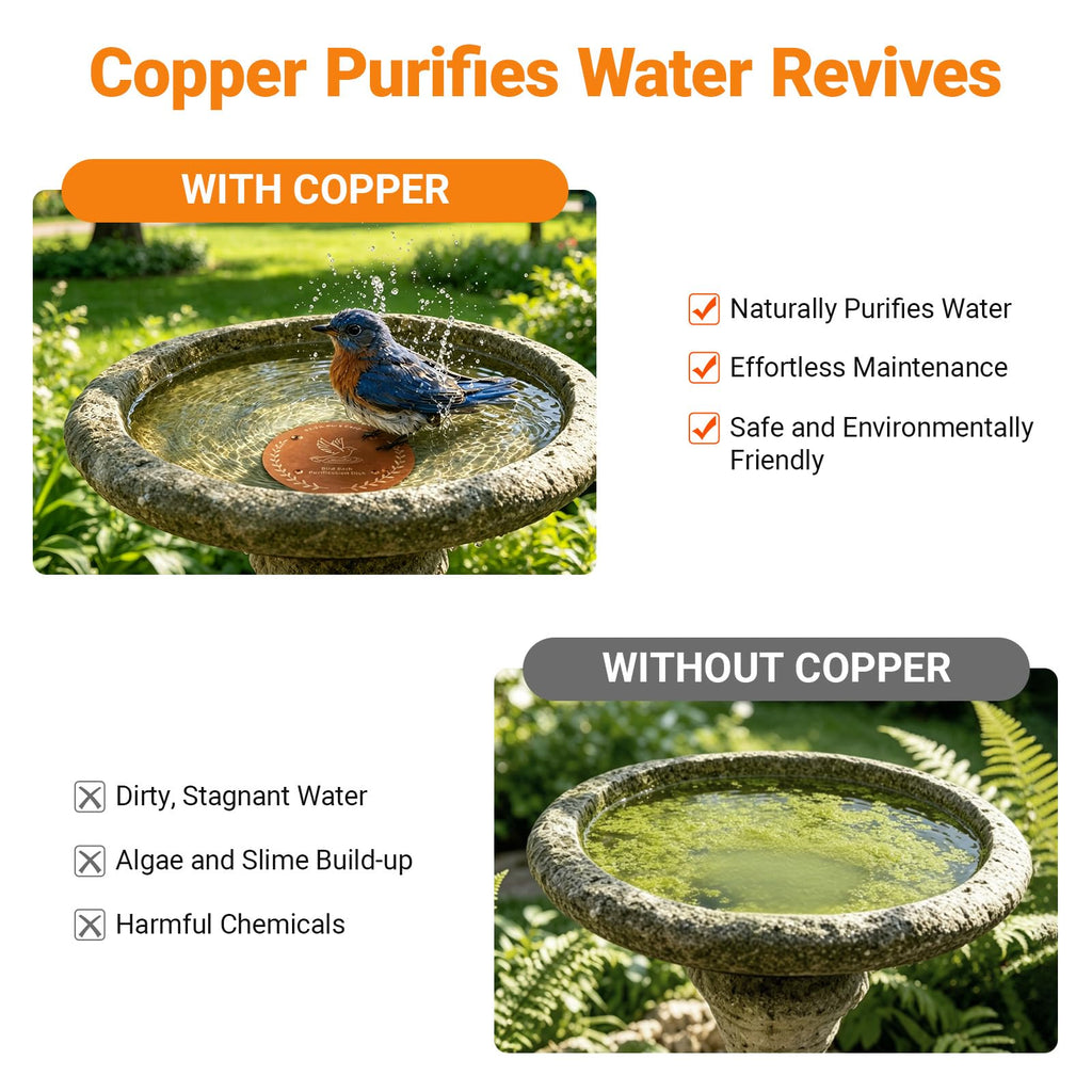 Bird Bath Copper Disk, 0.6mm Reinforced 99.99% Pure Copper Cleaning Disk with 4-Point Support, for Physical Safe Clean Water All-Season, Universal Fit for Outdoor Birdbaths, Bowl, Bird Bath Solar