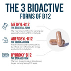BioActive Vitamin B12 - 5000 mcg, Contains 3 BioActive Forms Methylfolate Cofactor - Methyl B12, Adenosyl B12 & Hydroxy B12 | Supports Energy, Metabolism & Mood | Vegan, Non-GMO (60 Servings)