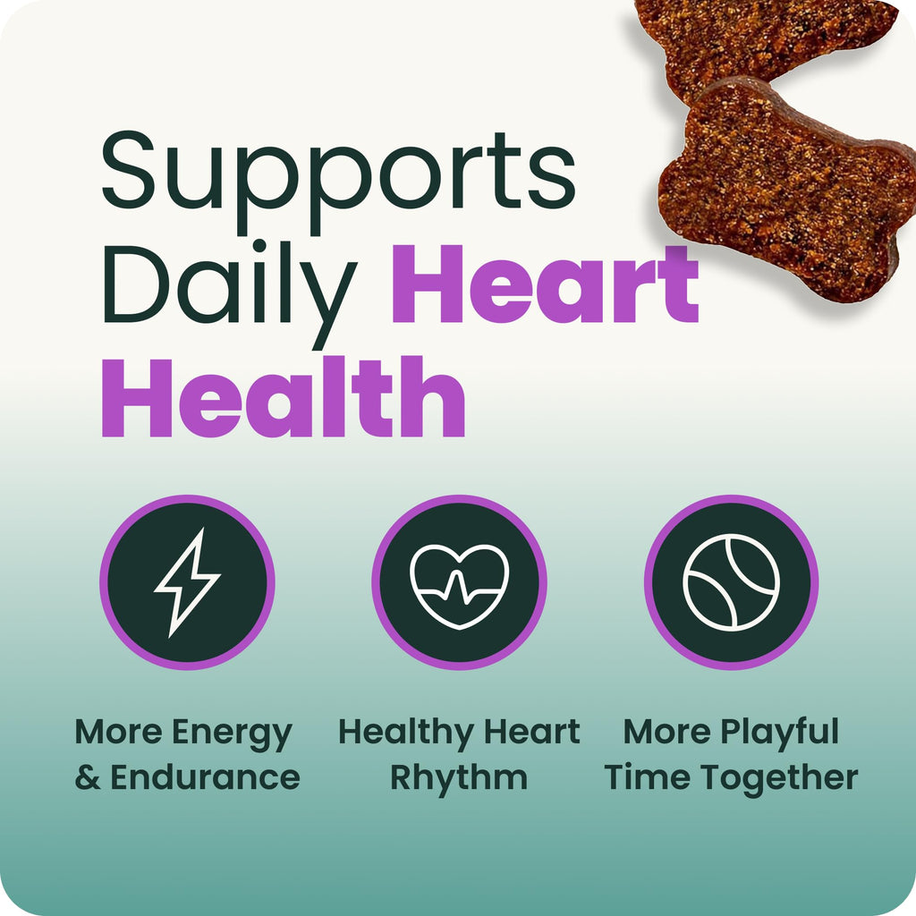 VetriScience Extra Strength Healthy Heart Chews for Dogs, Chicken, 60 Count