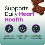 VetriScience Extra Strength Healthy Heart Chews for Dogs, Chicken, 60 Count