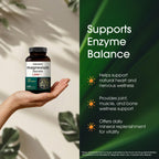 NatureBell Magnesium Taurate - 240 Capsules - 1,500mg High Absorption Chelated Formula - with Amino Acid Taurine - Heart Health, Nervous System, Muscle & Bone Health Support*