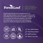 ForestLeaf L Theanine Supplement - L-Theanine 200mg with Ashwagandha and Magnesium for Focus, Stress Relief & Relaxation - Non-GMO & Gluten Free - 100 Caps