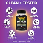 Sakoon nutrition Wildcrafted Irish Sea Moss Gummies with Bladderwrack, Burdock Root, Elderberry & Black Seed Oil – Vegan, Non-GMO – 60 Gummies