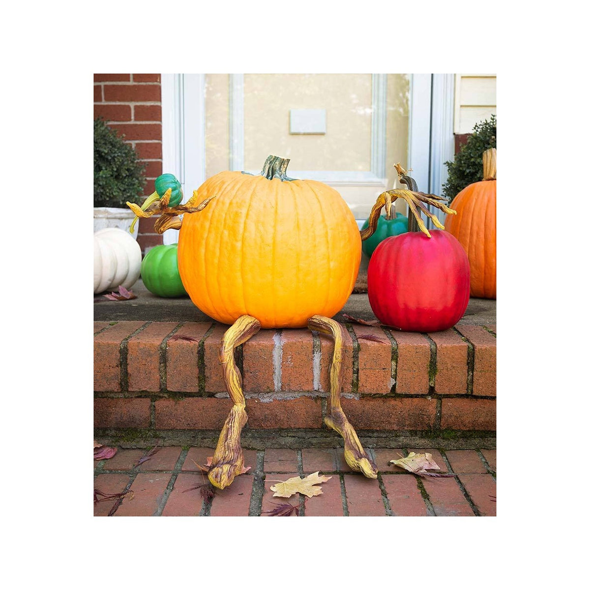 Plow & Hearth Set of 4 Bendable Pumpkin Arms and Legs | Twisting Vines for Halloween Pumpkin Carving DIY Crafts for Kids | Includes 2 arms and 2 Legs | Outdoor & Indoor Halloween Decorations