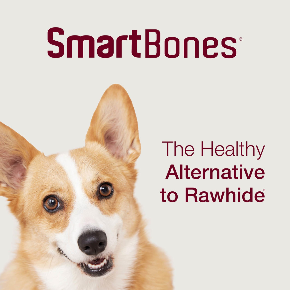SmartBones SmartChips Rawhide-Free Dog Treat, Real Peanut Butter, 12 Count