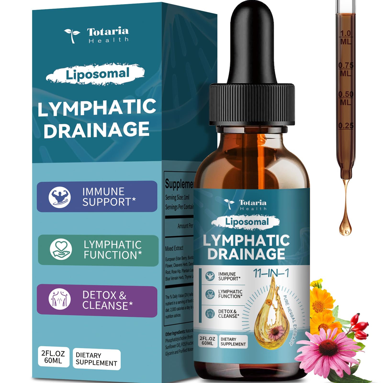 2Pack Liposomal Lymphatic Drainage Drops - 11 In 1 Organic Lymphatic Drainage Supplement with Burdock Root, Echinacea, Elderberry, Calendula, Cleavers Herb, Dandelion Supports Lymphatic Health 4 FL.OZ