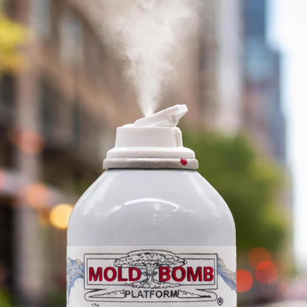 MOLD BOMB Fogger – Mold Stain & Odor Fogger – Deep Penetrating Room Treatment for Affected Areas – DIY Cleanup Solution (1 Pack)