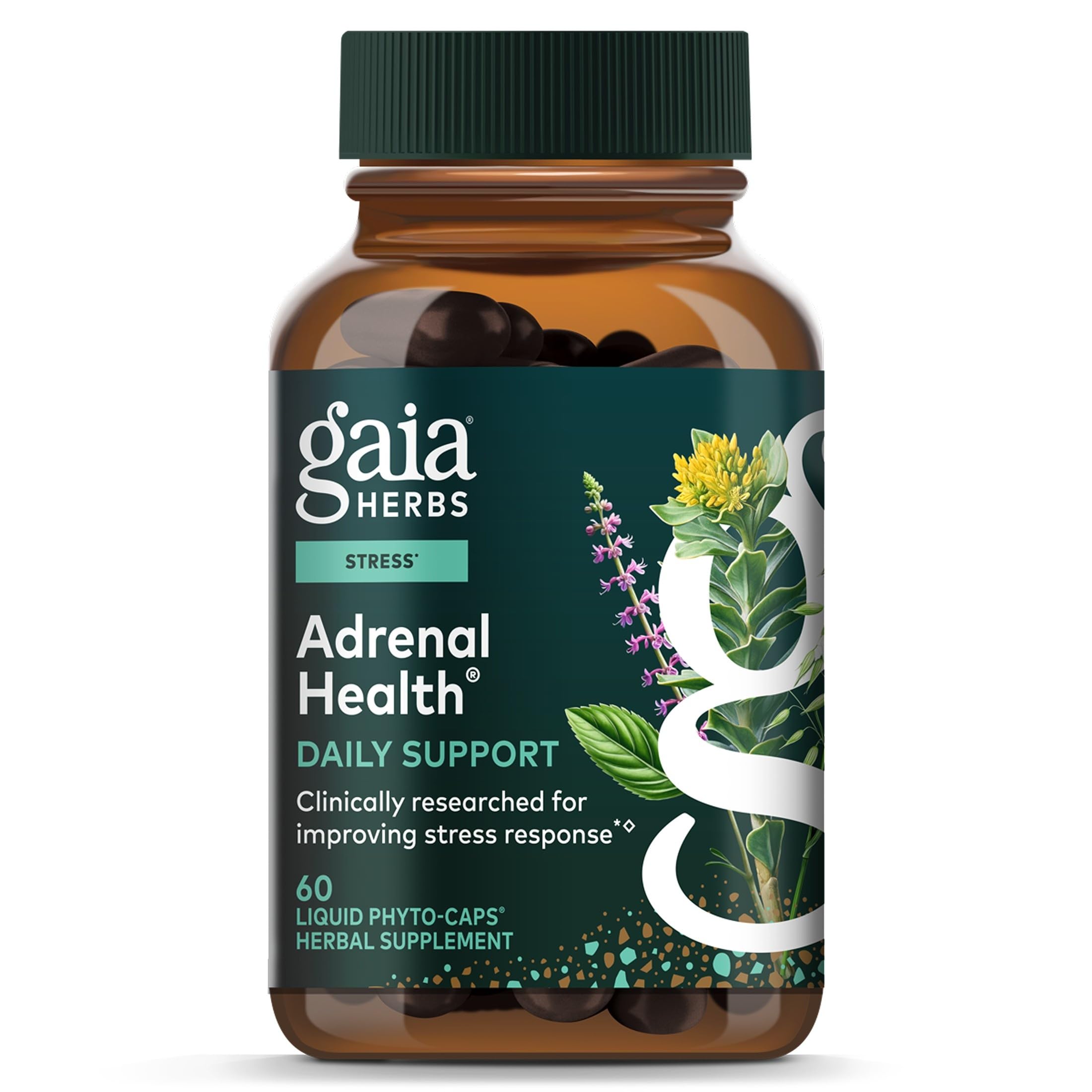 Gaia Herbs Adrenal Health Daily Support - Herbal Supplement with Ashwagandha, Holy Basil & Schisandra - Help Maintain Healthy Energy & Stress Levels* - 180 Vegan Liquid Phyto-Caps (90 Servings)