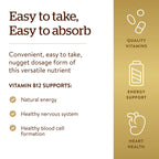 Solgar Vitamin B12 1000 mcg, 250 Nuggets - Supports Production of Energy, Red Blood Cells - Healthy Nervous System - Promotes Cardiovascular Health - Vitamin B - Non-GMO, Gluten Free - 250 Servings