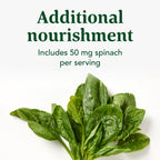 INNATE Response Formulas Magnesium Complex 300mg, 120 Capsules