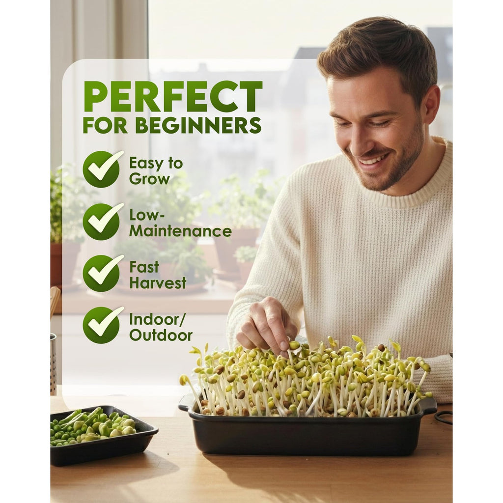 Nature Jim's Sprouts - Mung Bean Sprouting Seeds, Non-GMO Planting - 16 oz