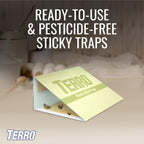 Buy now TERRO T2900 (Pack of 2) Pantry Moth Traps - Traps grain moths, flour moths, meal moths, and seed moths, (Packaging May Vary) at indiglob india