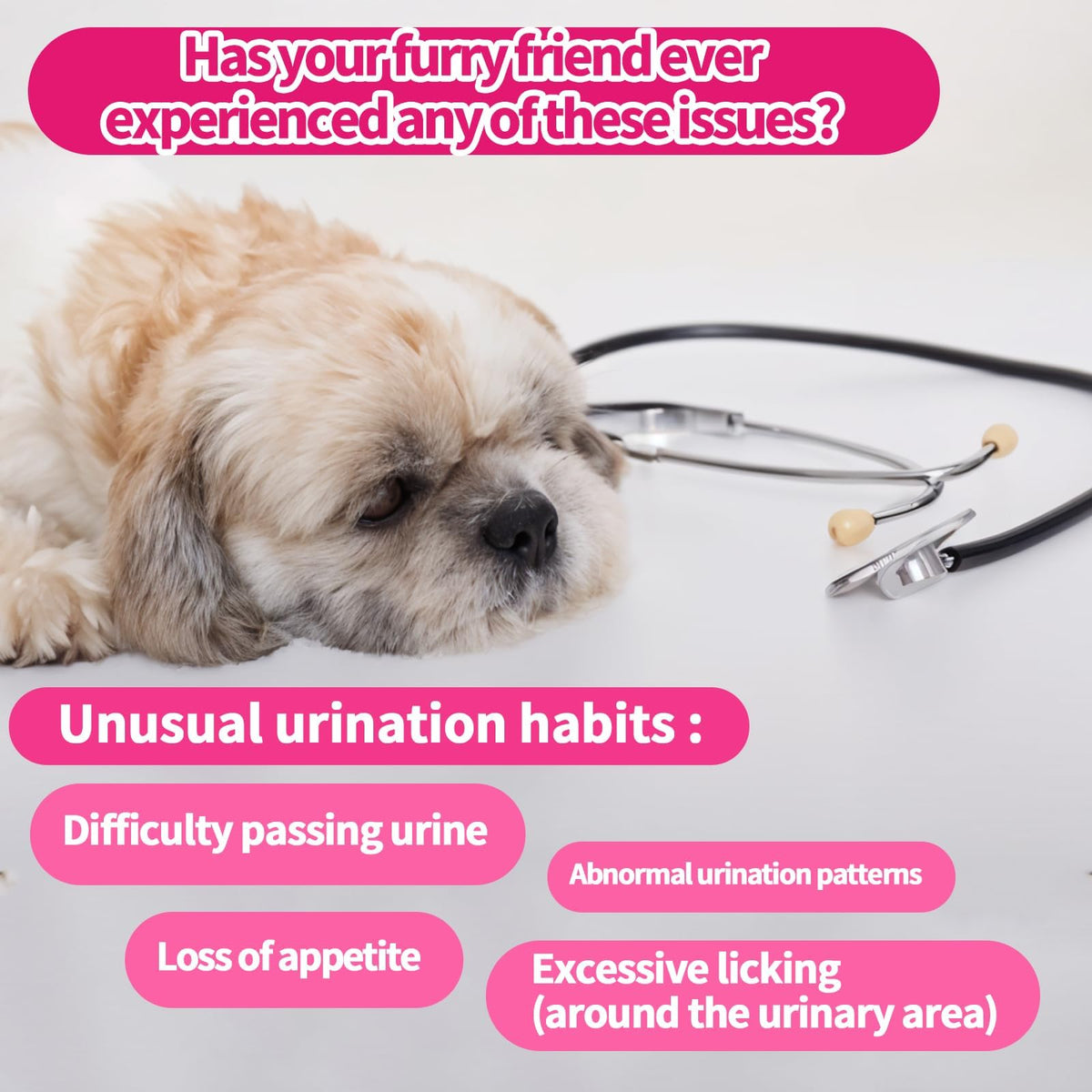 Cranberry for Dogs, Dog Urinary Tract & Bladder Support + D-Mannose, 200ct