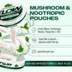Mushroom Nootropic Pouches, 600mg Lion's Mane Reishi Cordyceps Energy Pouches for Focus and Clean Energy, Caffeine Free Sugar Free Nicotine Free, Now Made in USA (5 Cans, Wintergreen)
