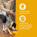 Pedigree Tender Bites Dry Dog Food, Chicken & Steak, 14 lb