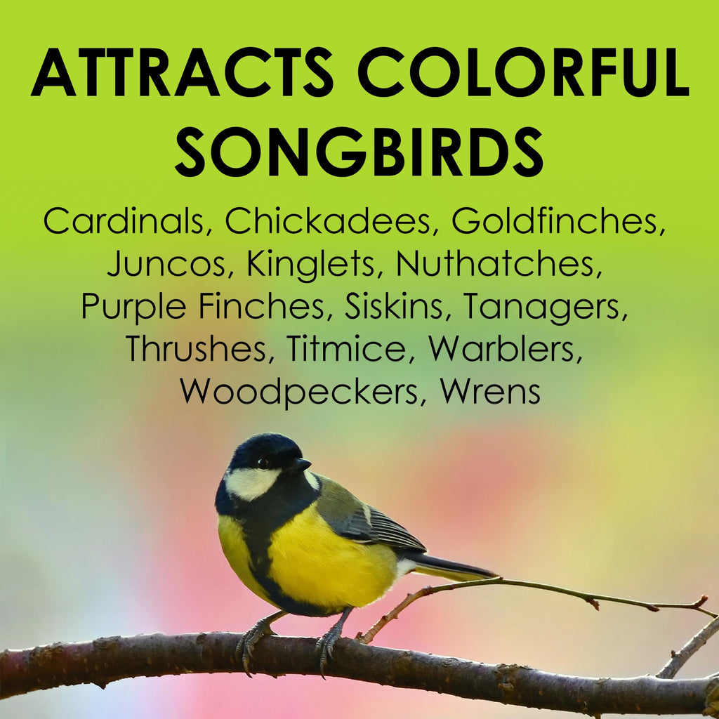Heath Outdoor Products DD-25 Hot Pepper Suet Cake, Natural Blend Squirrel Repelling Capsaicin and All-Season Colorful Songbirds Attractant, 11.25-Ounce, 12 Pack