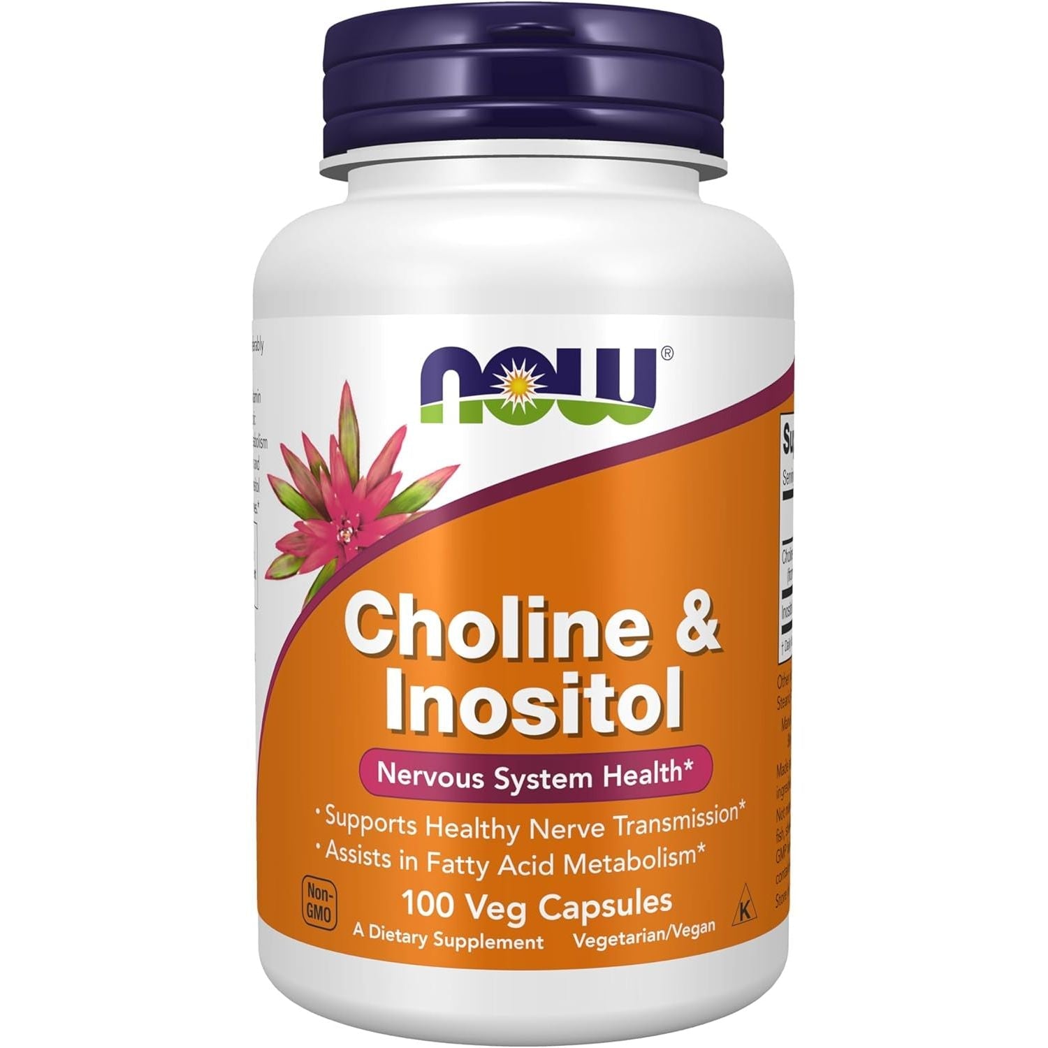 Buy now NOW Foods Supplements, Choline & Inositol 500 mg, Healthy Nerve Transmission*, Nervous System Health*, 100 Capsules at indiglob india