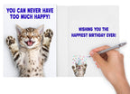 Funny Birthday Card for Women, Friends, Cat Lovers! Cute Kitten Photo