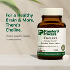 Standard Process Choline, Fat Metabolism & Liver Support, 90 Tablets
