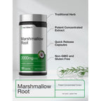 Horbäach Marshmallow Root Capsules | 120 Count | Non-GMO & Gluten Free