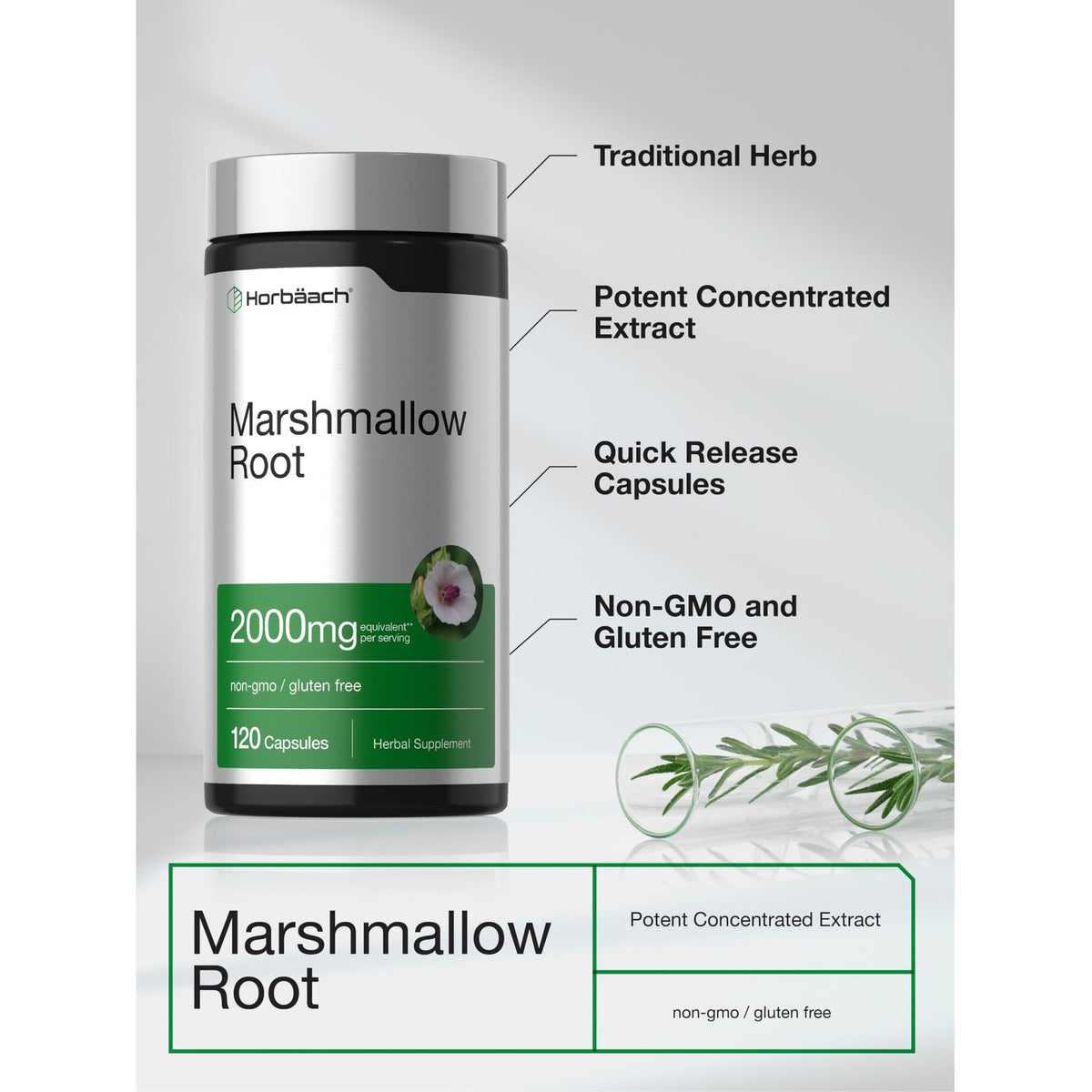 Horbäach Marshmallow Root Capsules | 120 Count | Non-GMO & Gluten Free