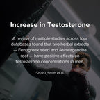 Peak Potential 12-in-1 Testosterone Support for Men