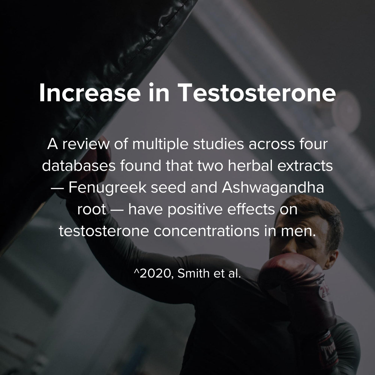 Peak Potential 12-in-1 Testosterone Support for Men