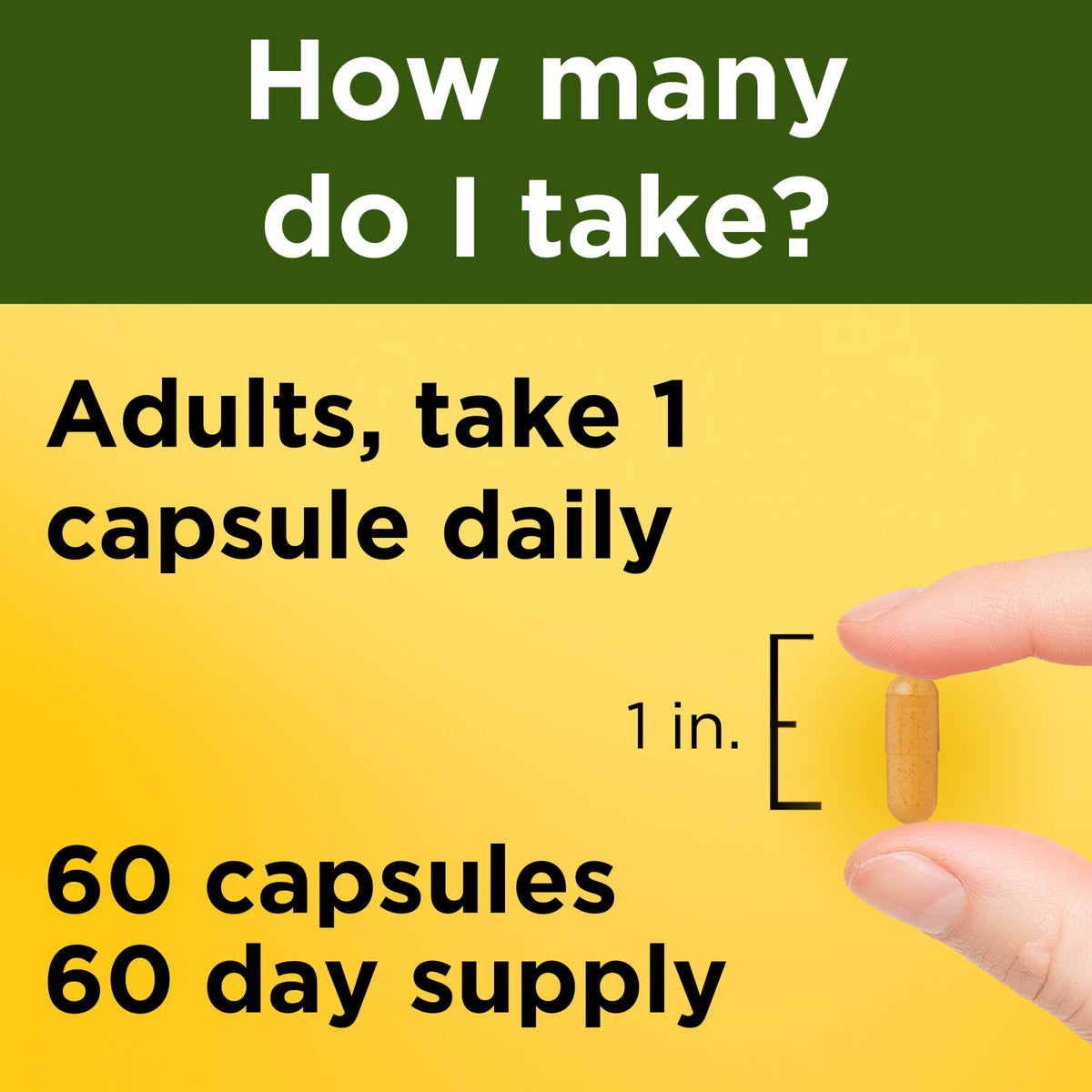 Nature Made Turmeric Curcumin 500 mg, Herbal Supplements, 60 Capsules