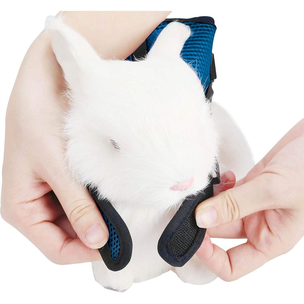 Buy now PETTOM Bunny Rabbit Harness with Stretchy Leash Cute Adjustable Buckle Breathable Mesh Vest for Kitten Small Pets Walking (Blue,S) at indiglob india