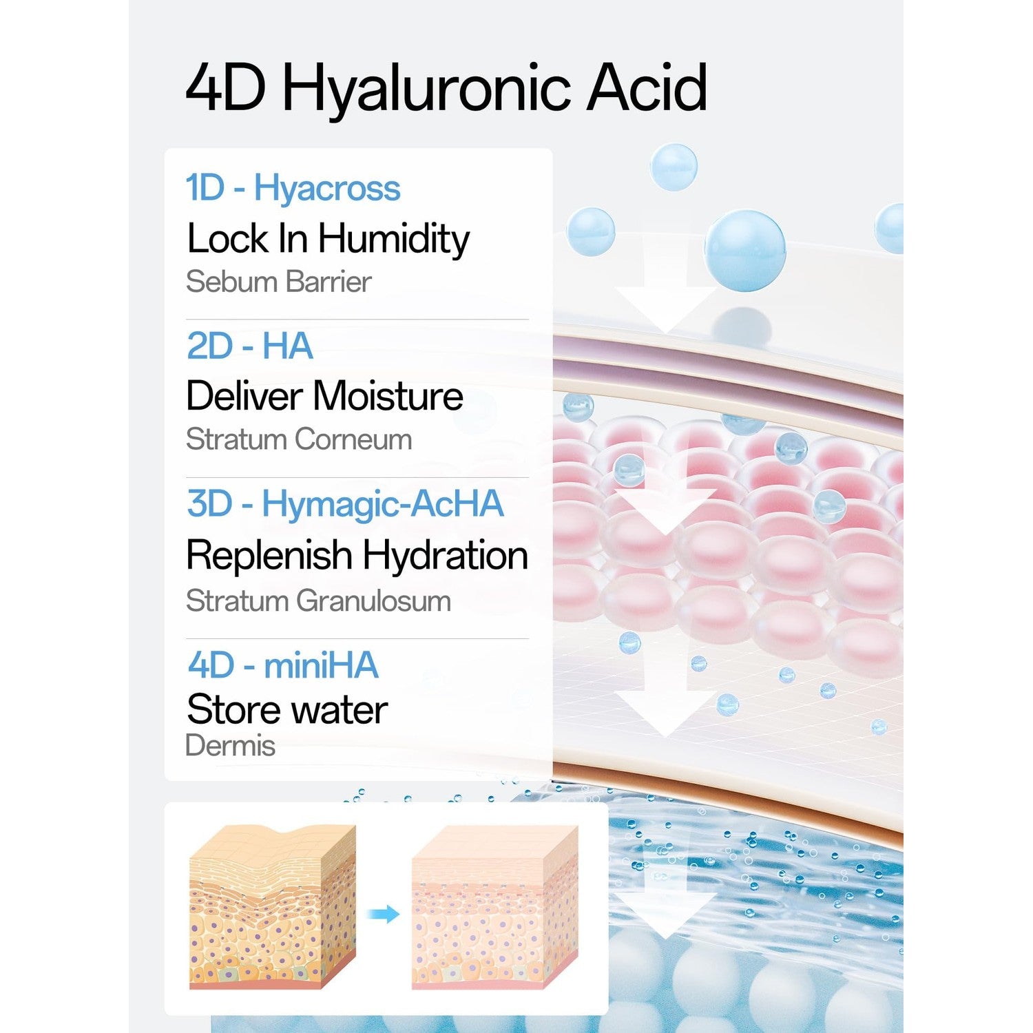 WNP Hyaluronic Acid Face Serum 3% Hydrating Ampoule for Dry Skin, 60 Ct | Sterile Single-Use| 24-Hour Hydration| Makeup-Friendly| Travel Ready| Fast-Absorbing| Moisture Care