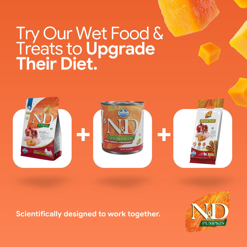 Mini Breed Adult Grain Free Pumpkin Chicken & Pomegranate Dry Dog Food by Farmina